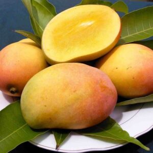 Khirsapat-aam-300x300 Khirshapat Mango