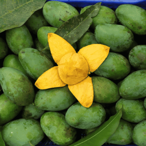 Untitled-design-3-300x300 Amrupali Mango