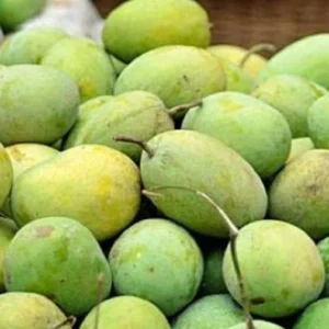 langra-300x300 Langra Mango